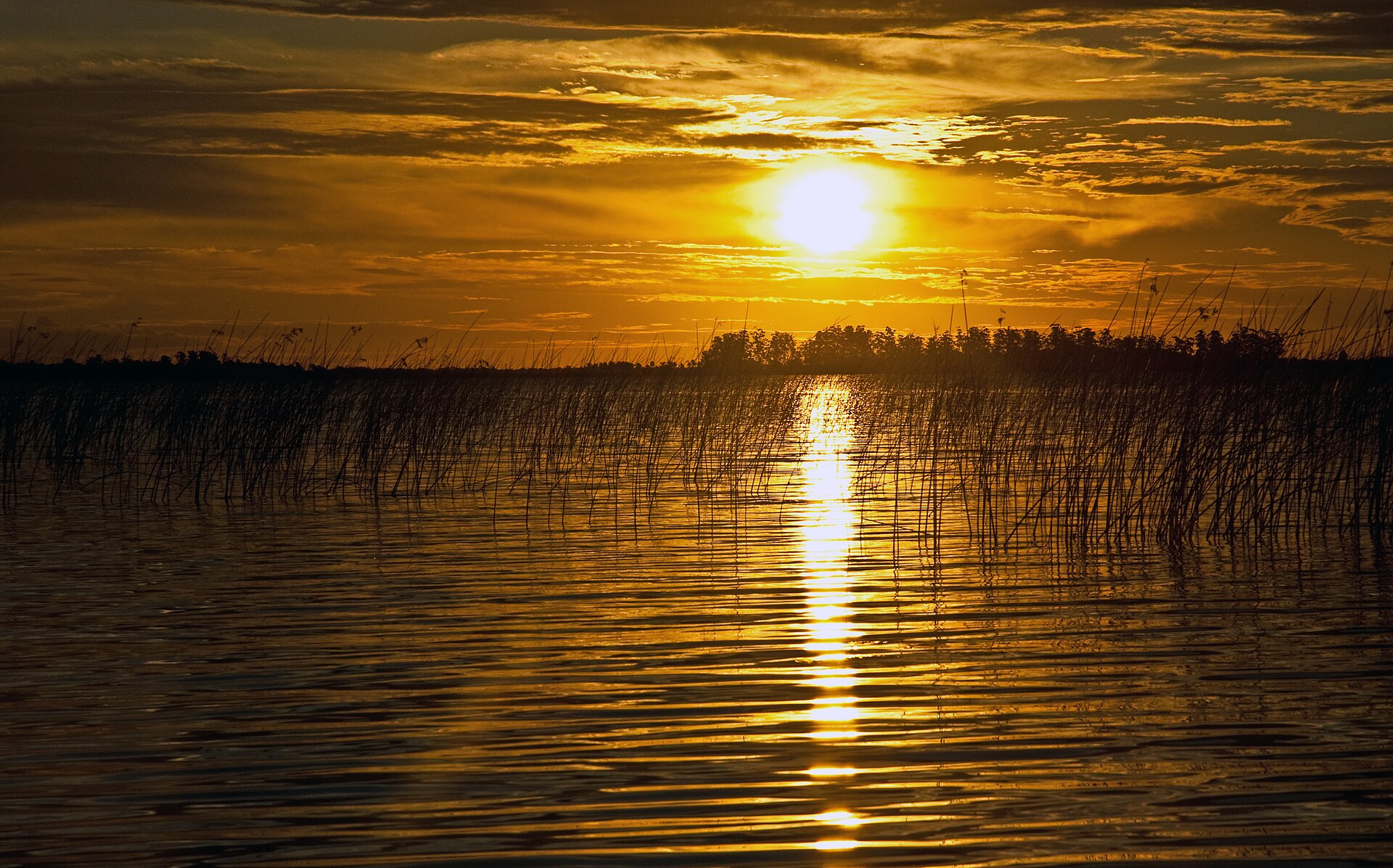 Atardecer en los Esteros del Iberá, cielo despejado