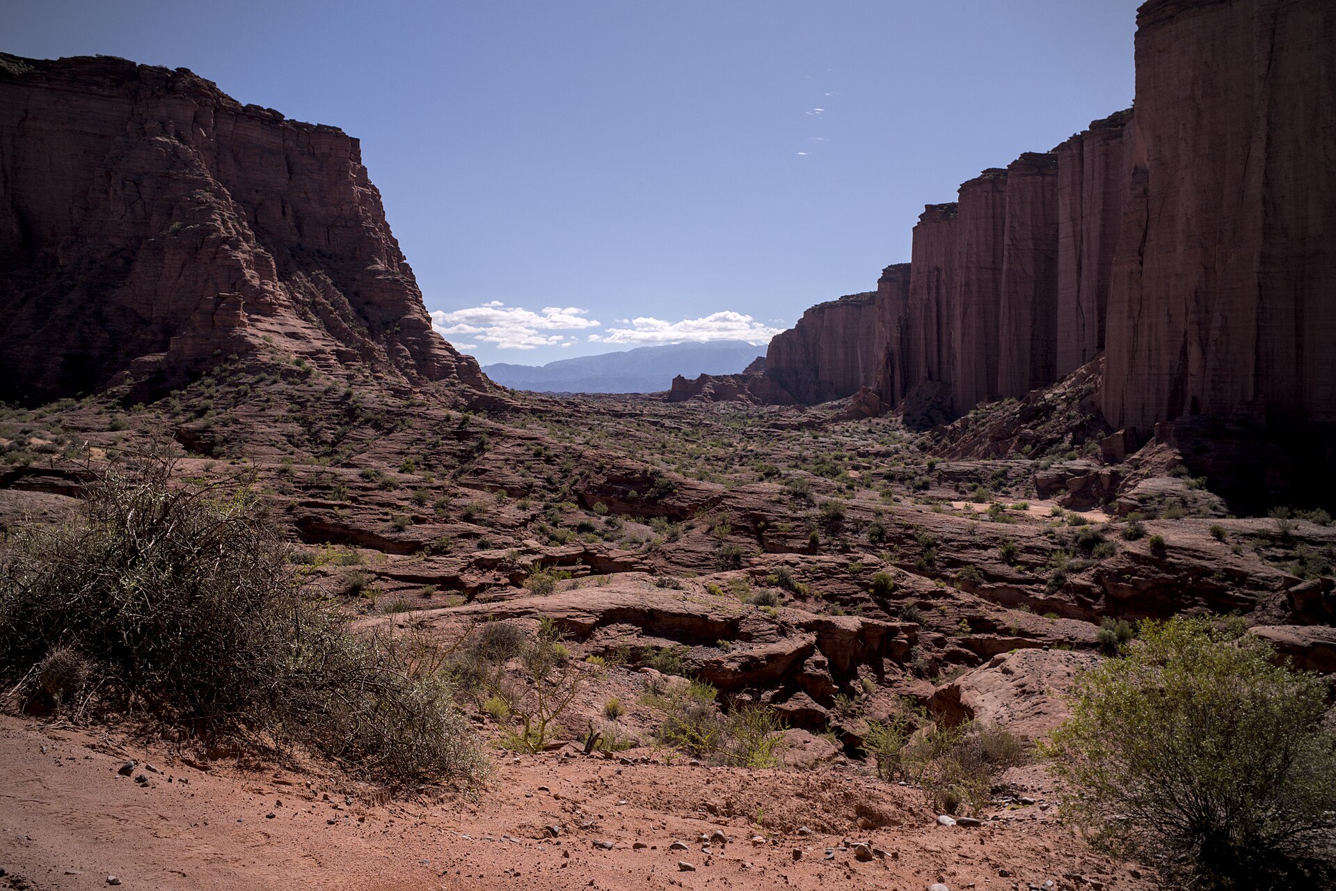 Cañones de paredes rojas en el Parque Nacional Talampaya, La Rioja