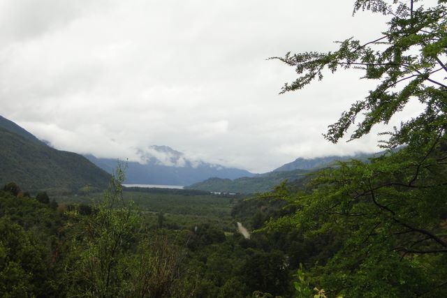 Bosque de alerces milenarios en el Parque Nacional Los Alerces, Esquel