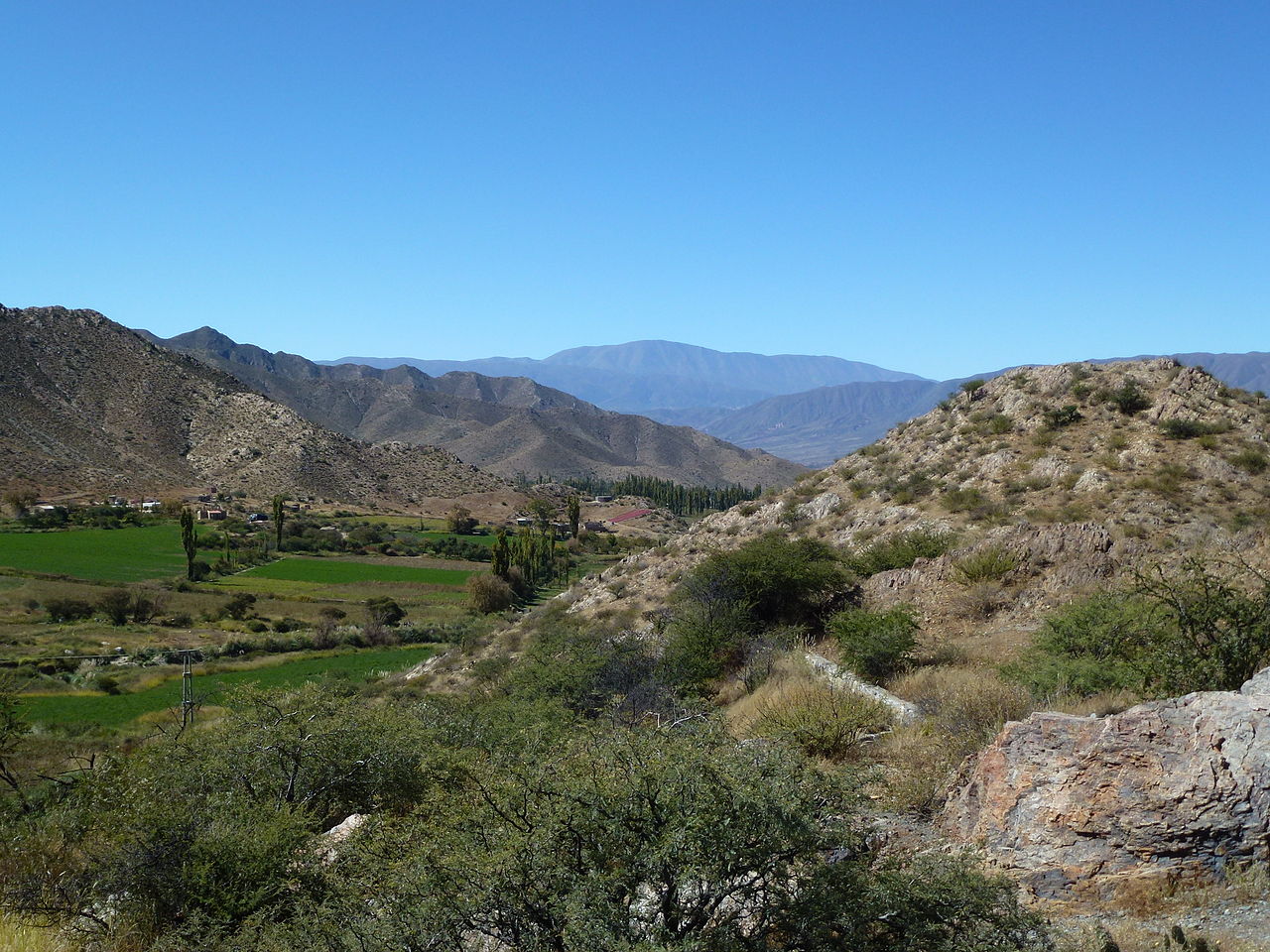 Valle Calchaquí con vegetación verde y cerros andinos cerca de Cachi
