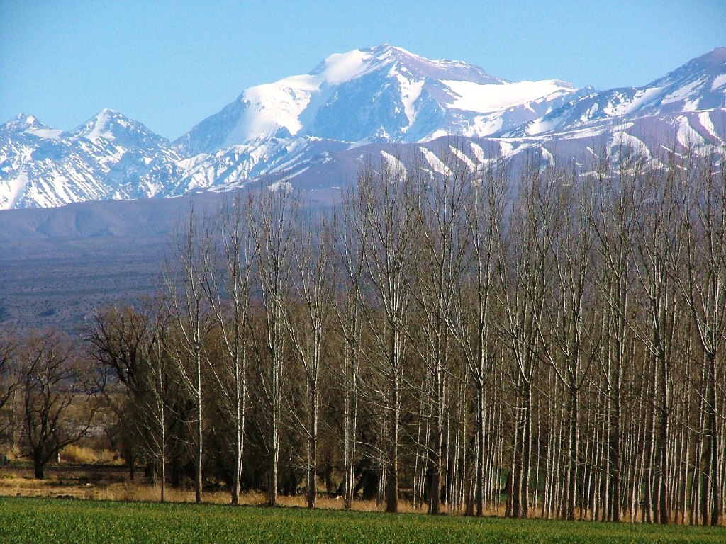 Barreal Blanco en Calingasta, San Juan, con cerros andinos