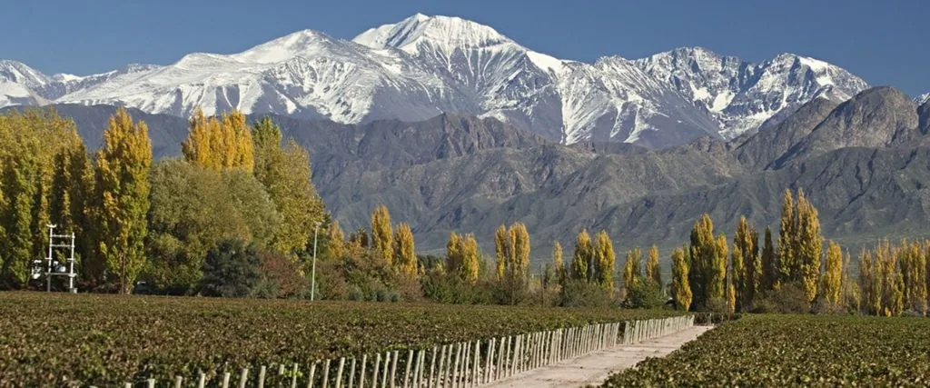 Bodega Lagarde