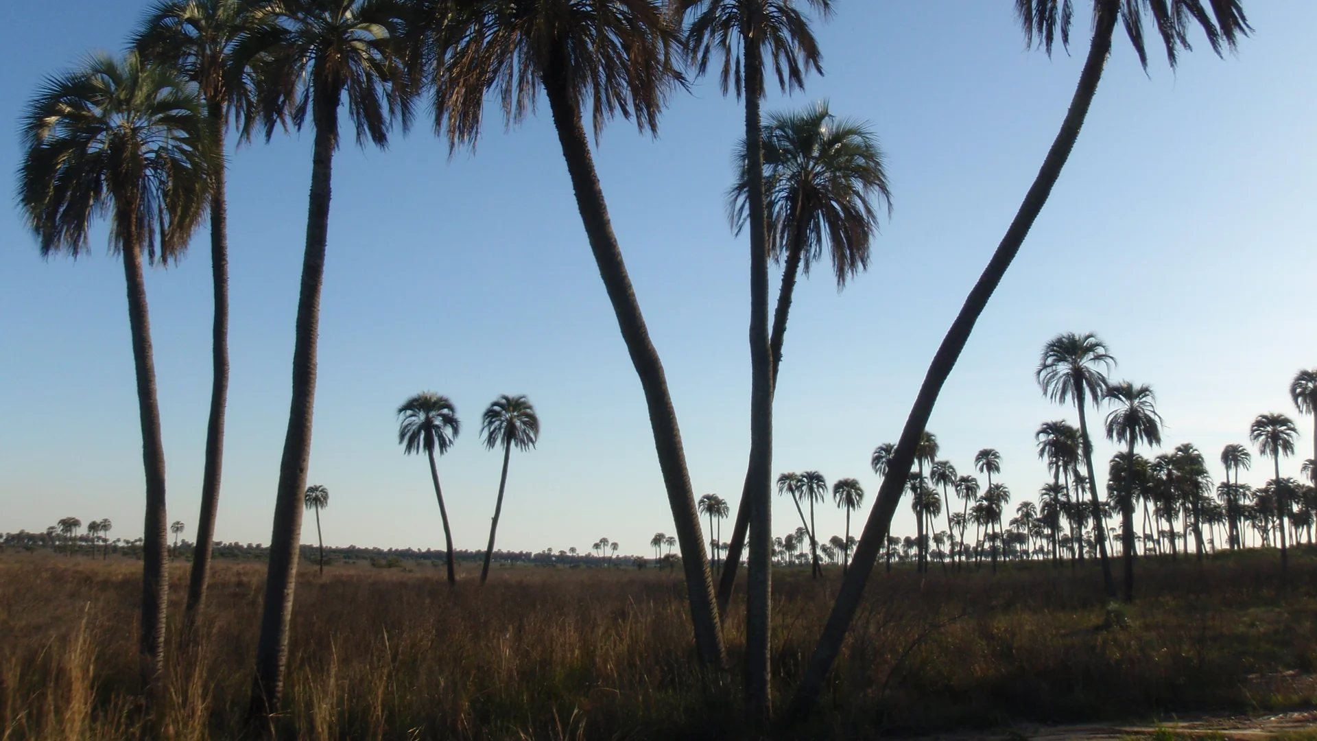 Gualeguaychú