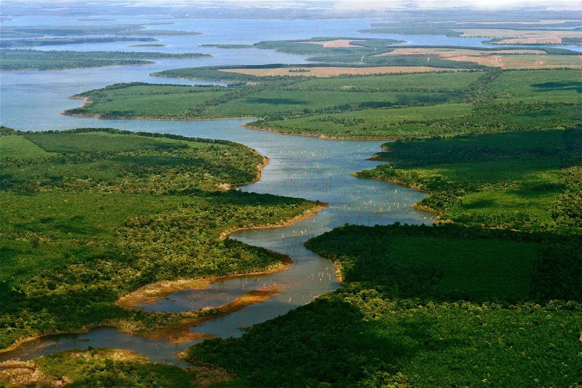 Humedal y selva subtropical en los Esteros del Iberá